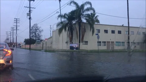 Rain 4 Stock Footage 87490588