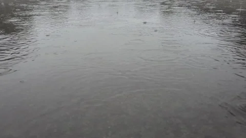 Rain in 4K 스톡 동영상 154662728