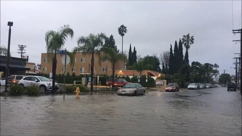 Rain 5 Stock Footage 87490593
