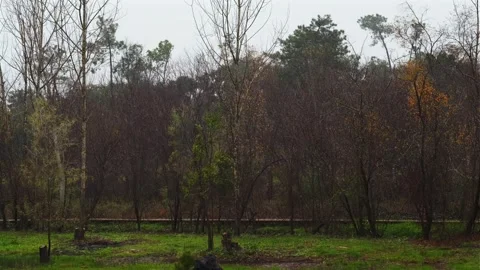 Rain 6 Stock Footage 327452139