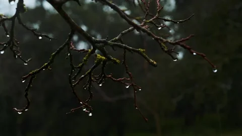 Rain 9 Stock Footage 327452141