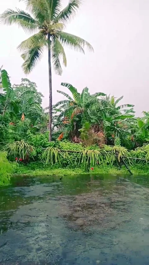 Rain in afternoon Stock Footage 234995876