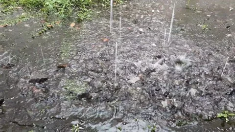 Rain, Afternoon Stock Footage 237157595