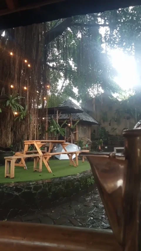 Rain in afternoon Video stock 242774822