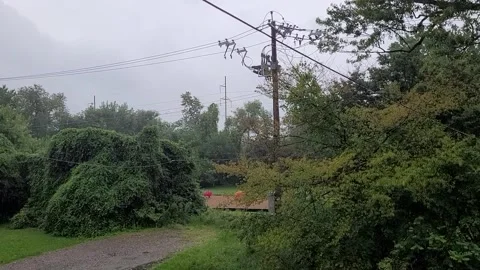 Rain in the afternoon 库存影片 248388142