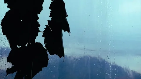 Rain in the afternoon Stock-Footage 331421747
