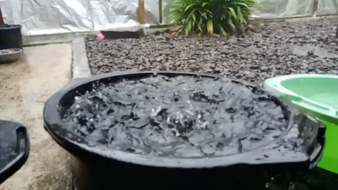 Rain in the afternoon slow motion Stock Footage 230964666