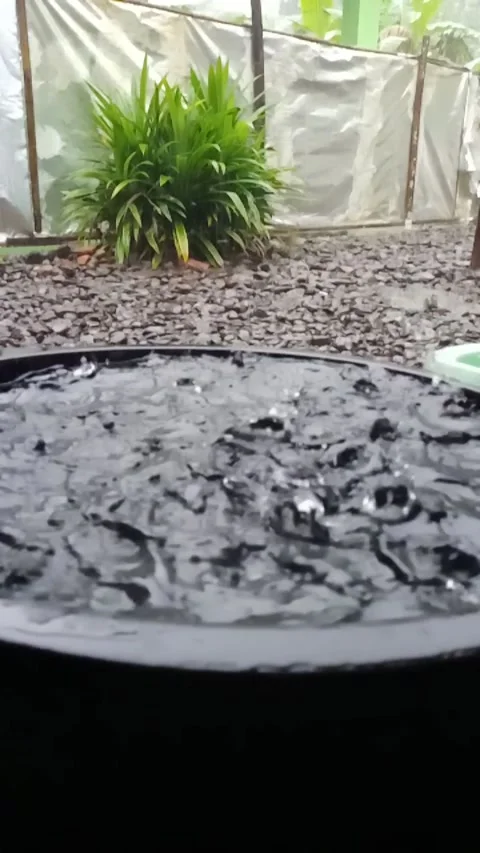 Rain in the afternoon slow motion Stock Footage 230964671