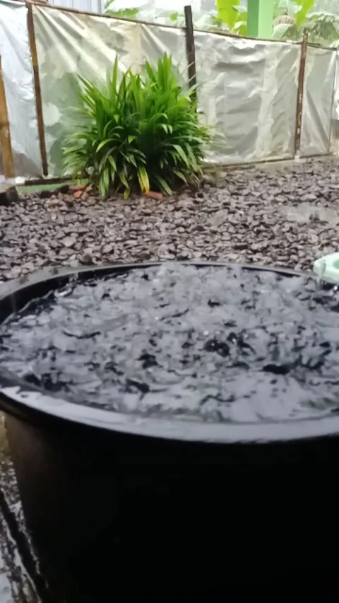 Rain in the afternoon slow motion Stock Footage 230964702