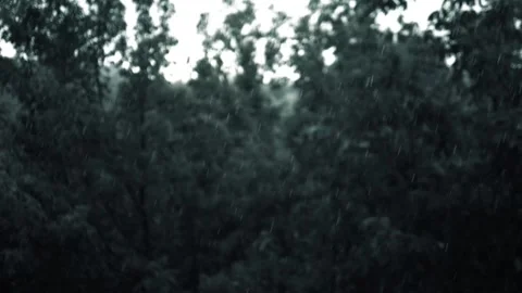 Rain against a blurred background tree foliage. Raindrops falling in slow motion Stock Footage 340099403
