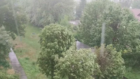 Rain against the trees. Element, change of weather Stock Footage 271253295