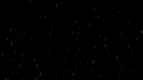 Rain with alpha channel Stock Footage 109073265