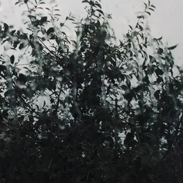 Rain &amp;amp; Pain From Window (second version) Foto stock