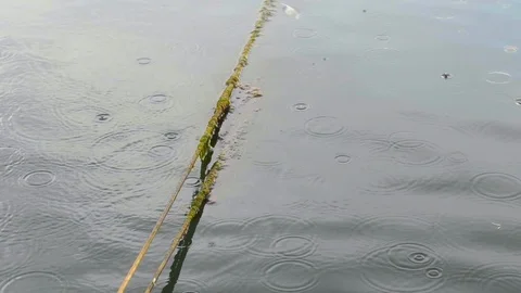 Rain and boats Stock Footage 95987453