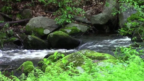 Rain and the brook Stock Footage 76120237