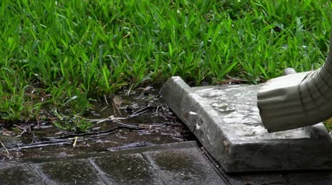 Rain and Drain.mp4 库存影片 11341040