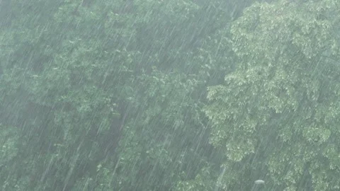 Rain and hail against a background of trees, 8K with authentic natural sound. Stock Footage 336727651