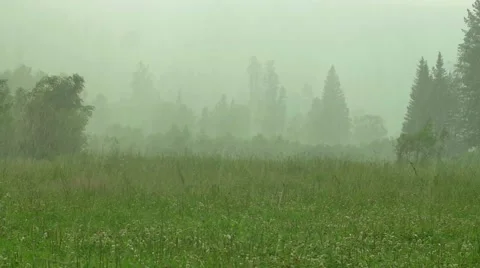 Rain and hail Altay Stock Footage 67661438