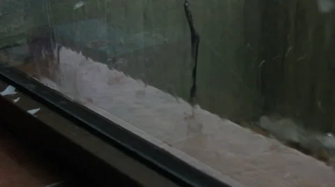 Rain and ice storm Stock Footage 52956925