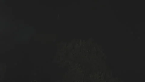 Rain and lightning flashes at night over forest house Video stock 341783151