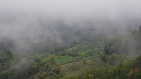 Rain and mist over olive trees Stock Footage 69261185
