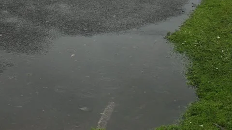 Rain and puddle Stock Footage 11338864