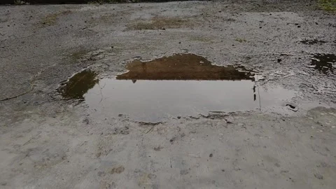 Rain and puddle Stock Footage 233354358