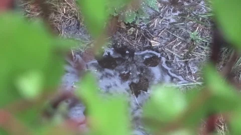 Rain and puddles Video stock 100288822