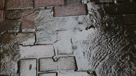 Rain and puddles on a paved pathway Stock Footage 178870719