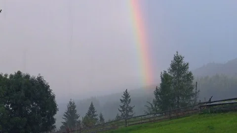 Rain and rainbow over the forest Stock Footage 78999502