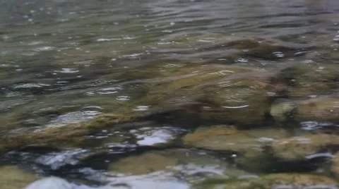 Rain and river Stock Footage 41679158