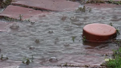 Rain and sewage pipe Video Stock Footage 252532417