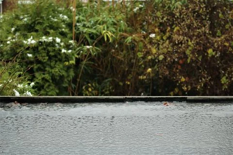 Rain and snowmixture on a black flat roof against bushes and trees Stock Photos