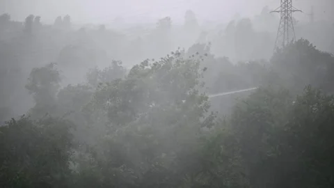 Rain and strong wind affecting trees and vegetation in a rural area during a Stockbeeldmateriaal 337101233