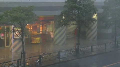 Rain and strong wind during a typhoon. Video stock 10067018