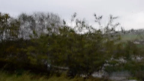 Rain and strong wind. The trees are swaying. View through the window. Stock Footage 97578787