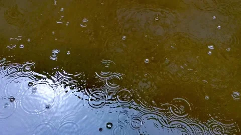 Rain and sun Stock Footage 159398115