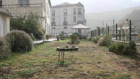 Rain and sun in the garden Stock Footage 320808181