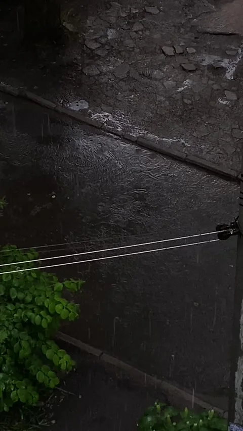 Rain and thunder Video stock 229132530