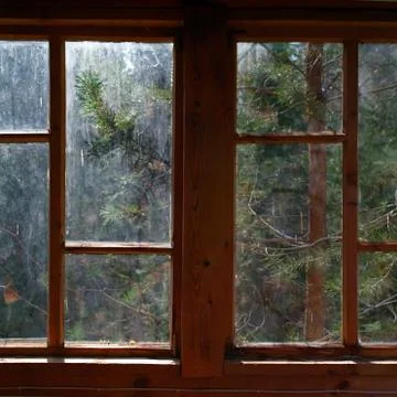 Rain and trees behind a window Stockfoto's