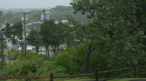 Rain and Trees in The City Stock Footage 40847103