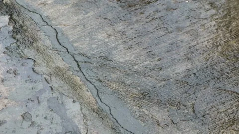 Rain and water drops on the concrete floor Stock Footage 317019626