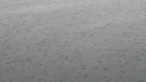 The rain and water drops Stock Footage 156328675