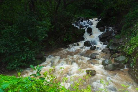 Rain and waterfall Stock Photos