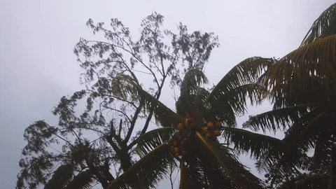 Rain and wind and really bad weather conditions during a cyclone on mauritius Video stock 127106487