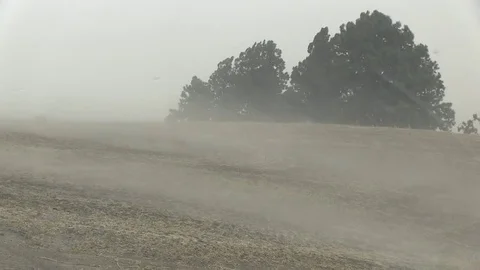 Rain and Wind on a Hillside During a Storm Stock Footage 81110040
