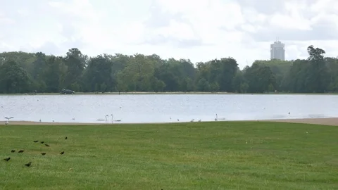 Rain And Wind In London Hyde Park And The Lake Stock Footage 104623797