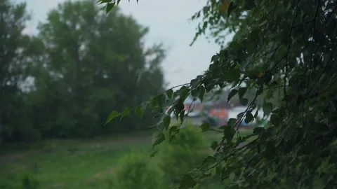 Rain and wind outside the window with a tree Видео 218541801