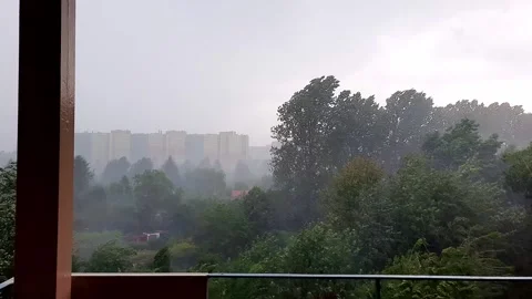 Rain and wind on urban summer background. Stock Footage 268624512