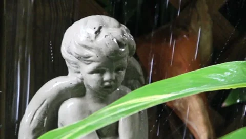 Rain Angel Close up Stock Footage 8519269